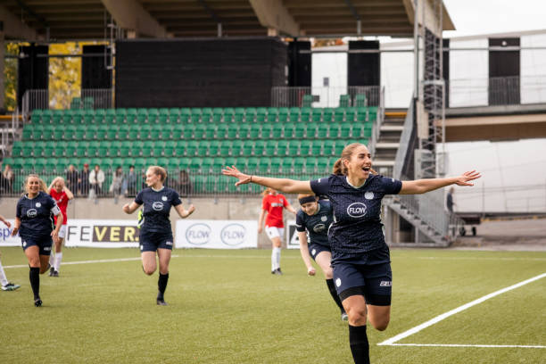 燃烧系统则 燃烧系统则